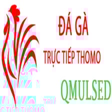 Profile picture for dagaqmulsed