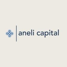 Profile picture for Aneli Capital
