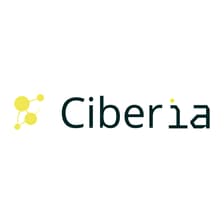 Profile picture for CIBERIA TECH