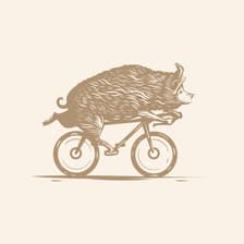 Profile picture for Cuinos Cusine