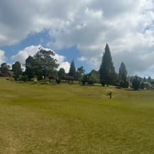 Profile picture for Germaine Jiang