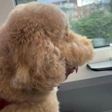 Profile picture for Matthew Manarino