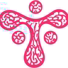 Profile picture for Lytics Hs