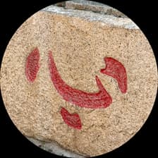 Profile picture for Ying G