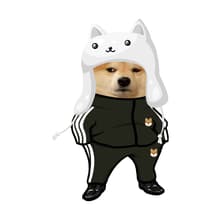Profile picture for sunil