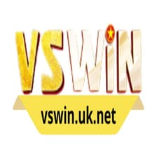 Profile picture for VSWIN