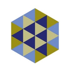 Profile picture for E3G