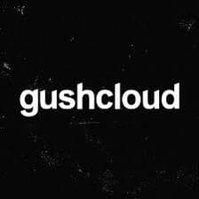 Profile picture for Gushcloud International