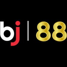 Profile picture for BJ 88