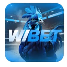 Profile picture for wibetone