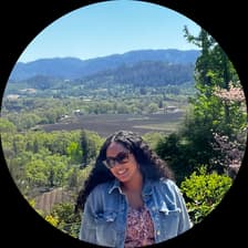 Profile picture for Ambar Paulino