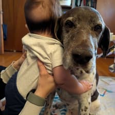 Profile picture for Andy S