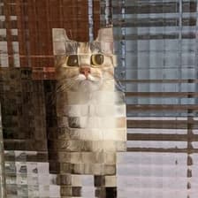 Profile picture for Elixi. | MinGoo