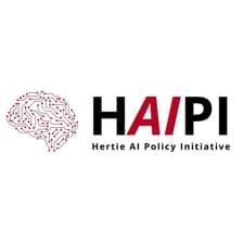 Profile picture for Hertie School AI Policy Initiative