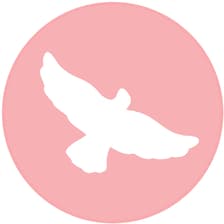 Profile picture for Roamers Therapy