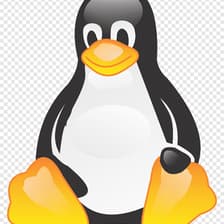 Profile picture for Penguin