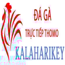Profile picture for Đá Gà Trực Tiếp Thomo