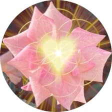 Profile picture for LIGHTSPACE