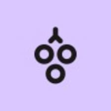 Profile picture for grape insurance