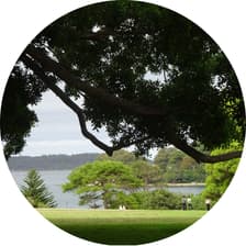 Profile picture for Lae Park