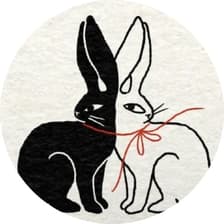 Profile picture for Elina Zang