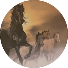 Profile picture for Ognjen Popovic