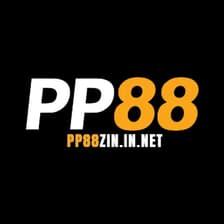 Profile picture for PP88