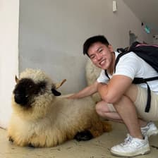 Profile picture for Joshua Wong