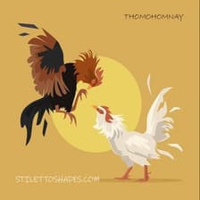 Profile picture for thomohomnay TRỰC TIẾP ĐÁ GÀ