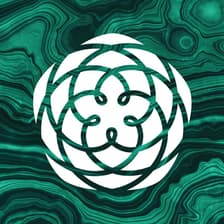 Profile picture for Psychedelic Medicine Coalition