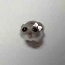Profile picture for bernice