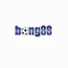 Profile picture for Bong88 army