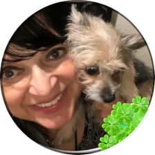 Profile picture for Annie A🌟