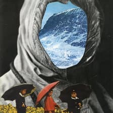 Profile picture for Bosque Gracias