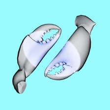 Profile picture for Gareth