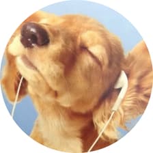 Profile picture for Lance Lin