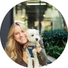 Profile picture for Allie Dolido