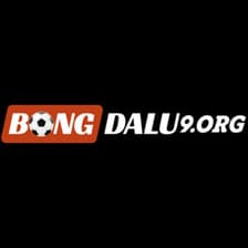 Profile picture for Bongda lu