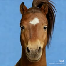 Profile picture for Emily Xiong