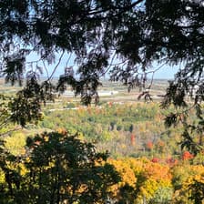 Profile picture for Eman Z.