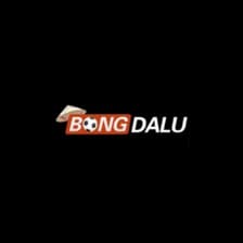 Profile picture for Bongdalu institute