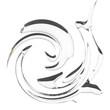 Profile picture for nephila