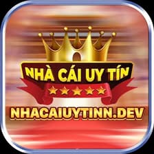 Profile picture for Nhacaiuytinn dev