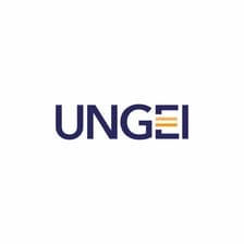 Profile picture for UNGEI Partnership