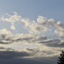 Profile picture for George Sealy