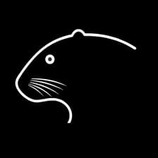 Profile picture for AI BEAVERS