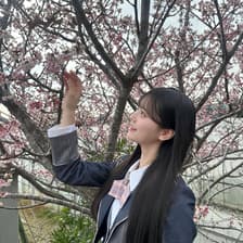 Profile picture for Elsa Chin