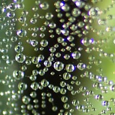 Profile picture for Stefanie Schwartz ~ Stef