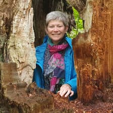 Profile picture for Vikki Bengtsson