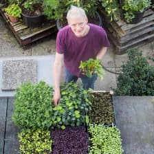 Profile picture for Mark Ridsdill Smith